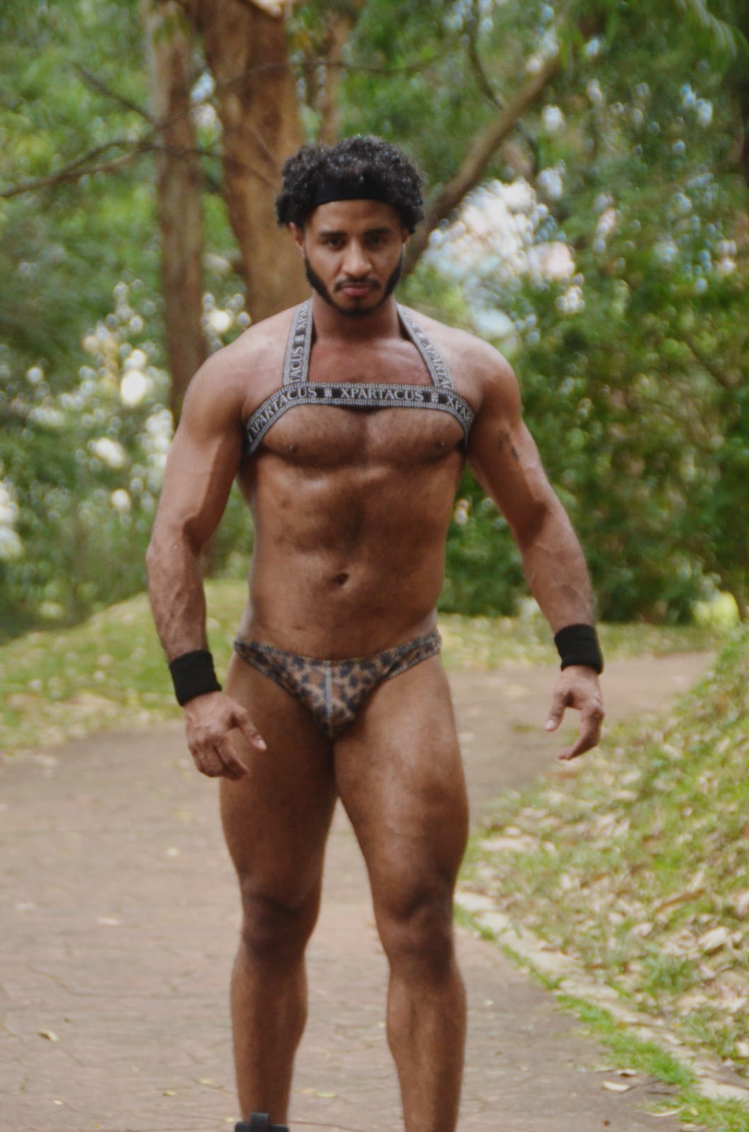 BRASILERA ADONIS leopardo café