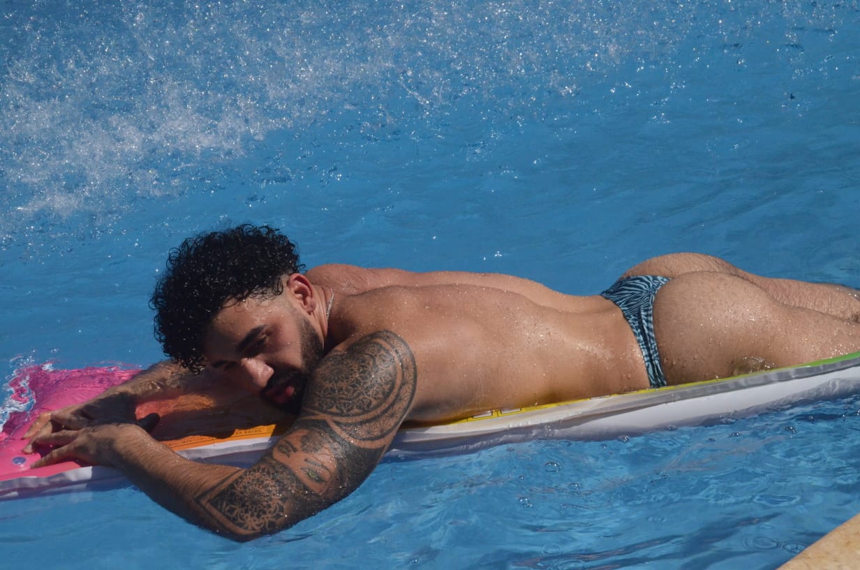 BRASILERA ADONIS cebra azul