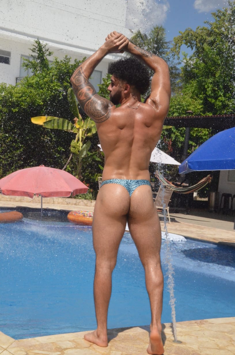 BRASILERA ADONIS cebra azul