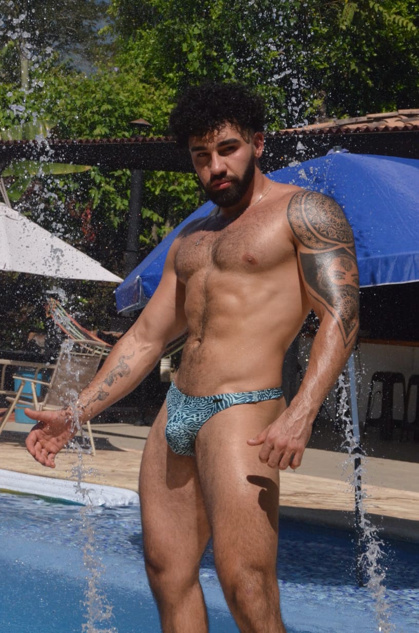 BRASILERA ADONIS cebra azul