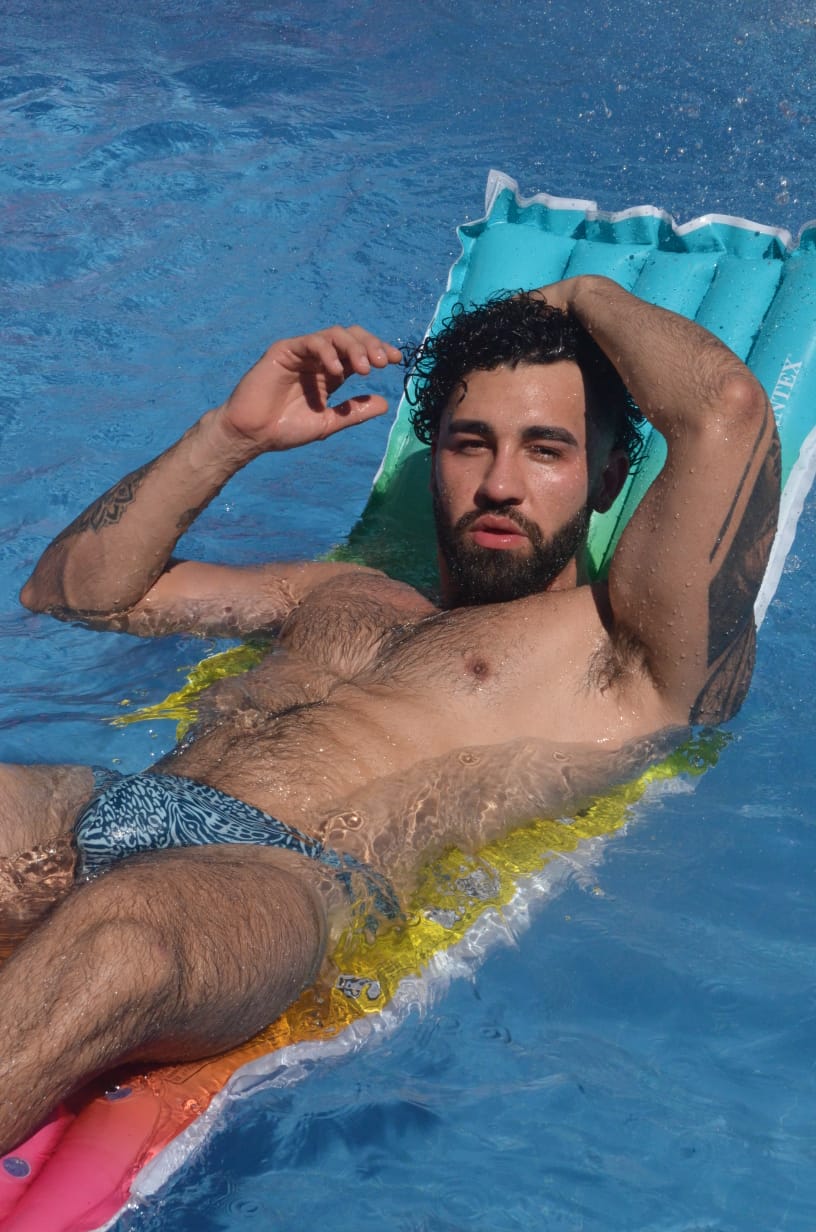 BRASILERA ADONIS cebra azul